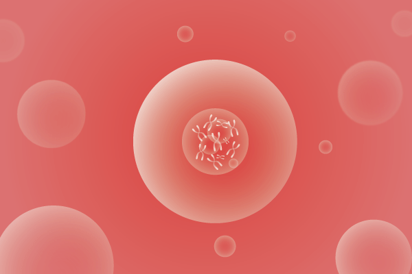 CNV,拷贝数变化遗传病、基因病、罕见病基因解码，基因检测，基因筛查与分子诊断