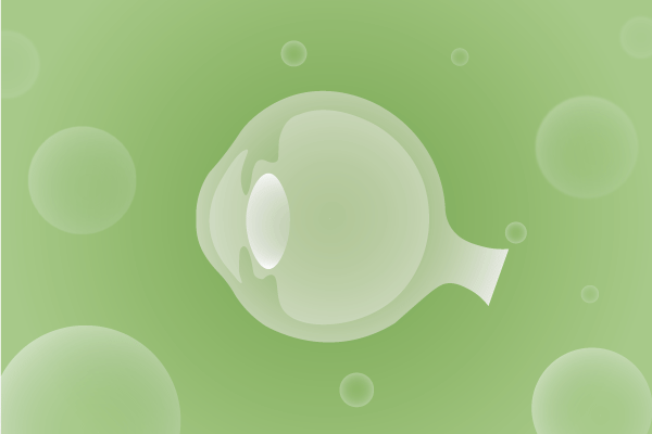 眼科，视光中心，眼科诊所，眼睛相关遗传病、基因病、罕见病的基因解码，基因检测，基因筛查与分子诊断