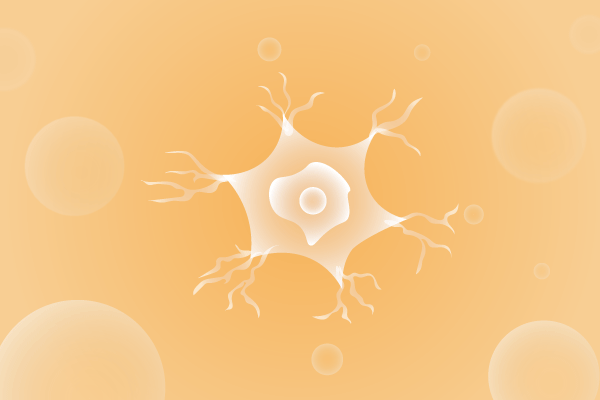 神经科肌肉系统及运动神经系统遗传病、基因病、罕见病的基因解码，基因检测，基因筛查与分子诊断