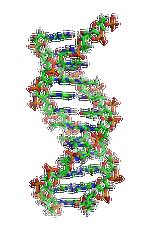 【腾博会官网基因检测】先天性肌营养不良症-抗肌萎缩相关糖蛋白病与脑和眼睛异常B4型基因解码、<a href=http://www.douzuanla.com/tk/jiema/cexujishu/2021/31933.html>基因检测</a>的样品有区别吗？
