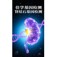 【腾博会官网基因检测】肾结石基因检测项目介绍