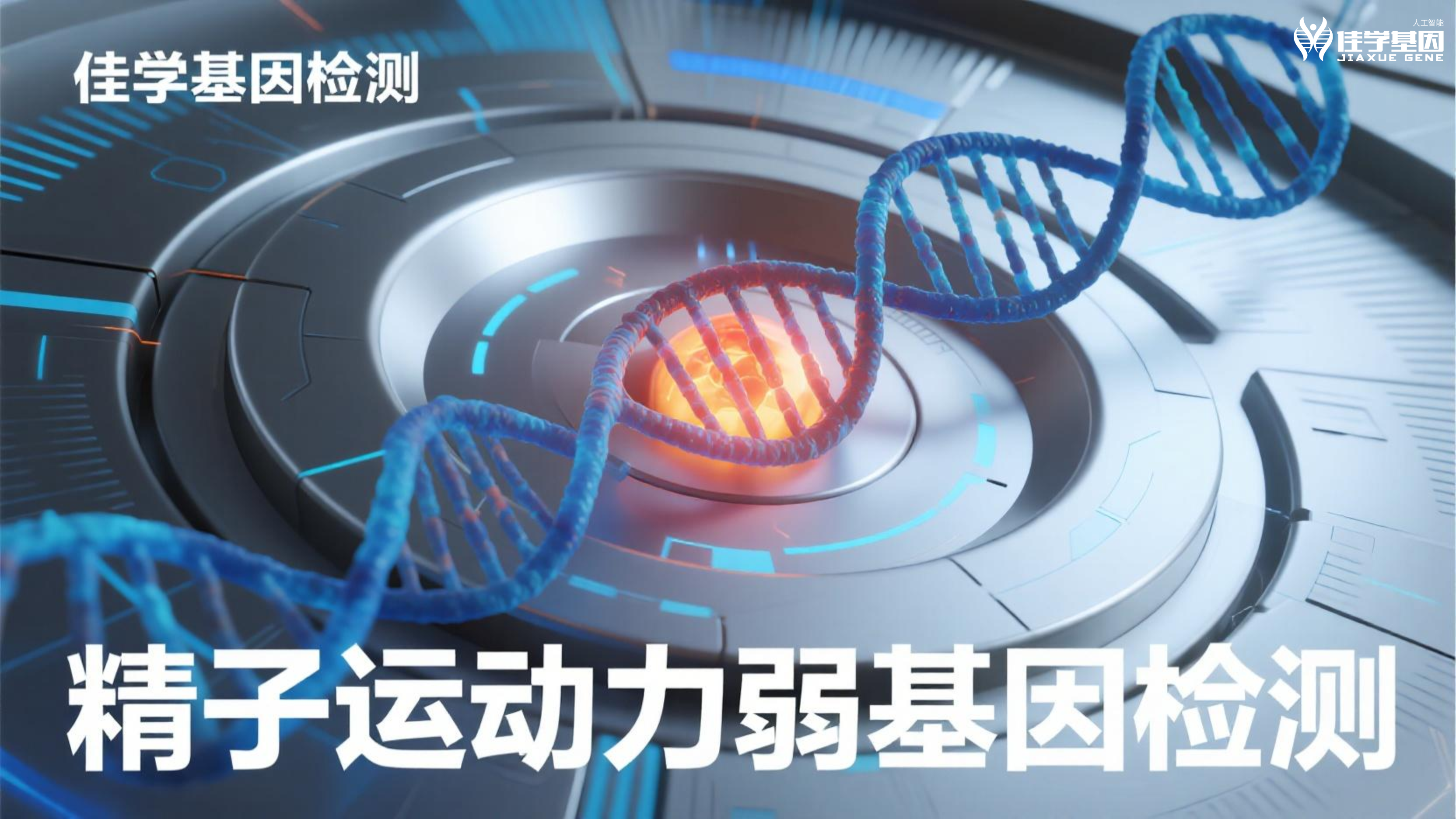 【腾博会官网基因检测】男性脱发和<font color='red'>生育</font>力：基因告诉了我们什么？